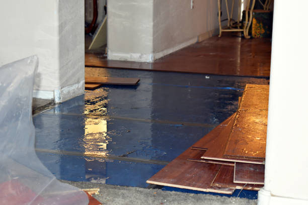 Professional Water Damage Restoration technician working in Waverly, IA